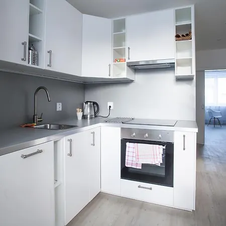 Apartment Haas Brno