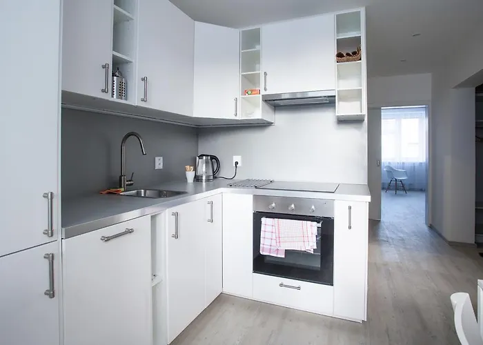 Appartamento Haas Brno